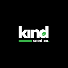 Discovering the Florida Sunrise Strain A New Dawn in Cannabis Discovering the Florida Sunrise Strain A New Dawn in Cannabis